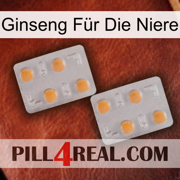 Ginseng Für Die Niere 25